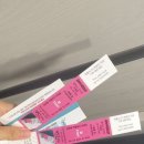 뉴시스템 | 한달된 초보 인생첫 10km마라톤/뉴시스 바다마라톤 후기