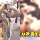 주인농장 이미지