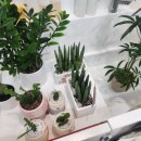 귀여븐댕 이미지