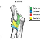 고든몸한의원 이미지