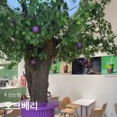 동산코사슈퍼조합 | [신논현] 오크베리 : 아사이볼 메뉴 추천 feat. 신메뉴 스무디 후기