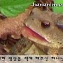[jms 정명석 목사님] 두꺼비의 식사 시간 영상 4 이미지