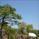 군포-산본-2003 이미지