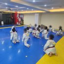 월드스타클래스태권도장 이미지