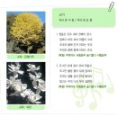 서림초교 이미지