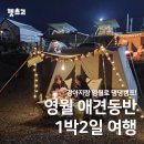별빛댕댕