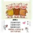 오토샵자동차용품 이미지