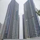 가야역 롯데캐슬 스카이엘 1월 준공 아파트 입주지원금 특별혜택 정보 이미지