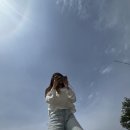 노들섬노들노들피크닉 네이버블로그