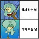 알파짐 | 시지헬스장 피트밀리짐 시지알파시티점 김민형 트레이너 PT 3,4회차 하체하고 몸살 날 뻔한 후기