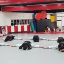 동아대태권도장 이미지