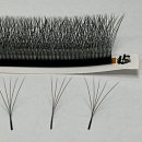 도로시뷰티 이미지