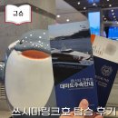 해운약국 | 대마도 히타카츠 쓰시마링크호 출입국 수속, 멀미 후기