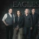 Their Greatest Hits (1971–1975) - Eagles 이미지