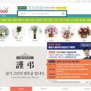 배철수 플라워