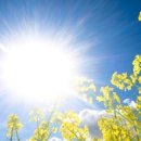 한글중급 이미지