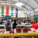 수창카,바른차를만드는사람들 | 평창 고랭지 김장축제 2025 준비물 옷차림 택배 후기 11월 여행지 아이와 가볼만한곳