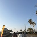 우정목장 | 제주 동쪽 2박3일 여행코스 우정여행 후기 (feat.유채꽃과 말이 가득)