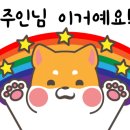 젠틀그루밍 이미지