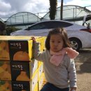 범일농장 이미지