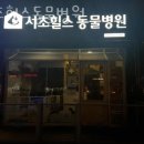 서초힐스동물병원 이미지