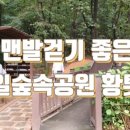포일숲속마을 입구 이미지