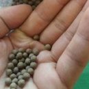 진철농장 이미지