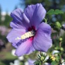 평화공원 내 이미지