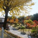 승일공원(승일교) 이미지