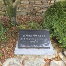 정자목마을마당