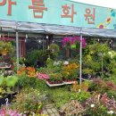 씽씽화원