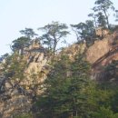 파인밸리 이미지