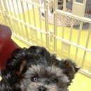 박순복동물병원 이미지