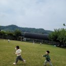 누렁이과수원 이미지