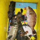 부산실내바다낚시터 이미지