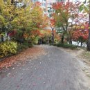 신흥부동산