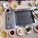 태화강민물장어 이미지