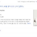돈다방 - 연천군 | 돈다방