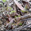 재상농장 이미지