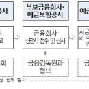 22.12.20 선제적 자금지원 체계인 금융안정계정 도입을 위한 ｢예금자보호법｣ 일부개정법률안이 국무회의를 통과하였습니다. 이미지