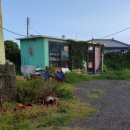 제주숙소 말레콘 이미지