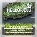 제주도 단체가족펜션 그날제주 | 시댁, 친정, 아기 8인 3대 가족 제주도 여행 2박 3일 동쪽코스 숙소 펜션 무료입장 등 일정 공유