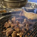 탐나는 도야지