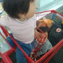 노산농장 이미지