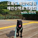 해안당 | 부산 오륙도 해맞이공원 강아지와 해안산책로 트레킹 하다 포기한 후기