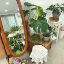3473 | [대전/궁동 꽃집] 감각적인 꽃 선물은 “로엔채화”