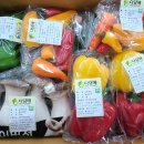 다담애친환경영농조합법인 | 사람과 흙은 한 몸, 야생초 같은 유기농업인. 다담애친환경영농조합법인 황상철 대표