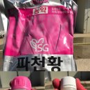 제일농약종묘사 이미지