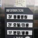 Jpet동물병원 네이버블로그