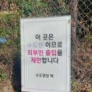 향림정